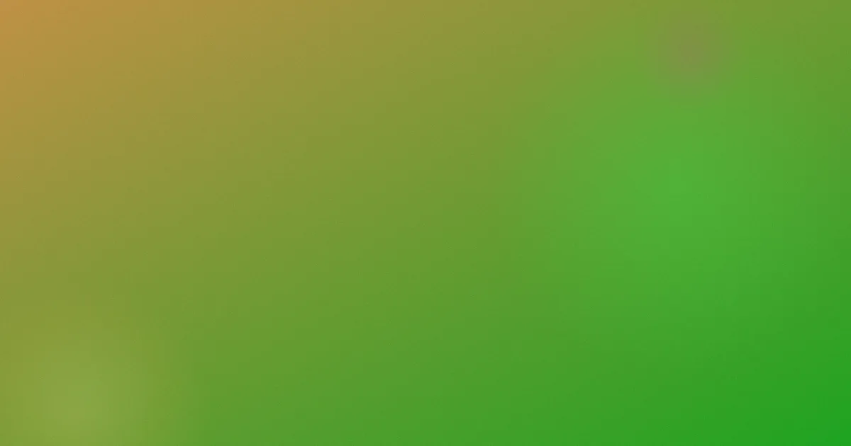 欧美干逼视频攻略：安全版